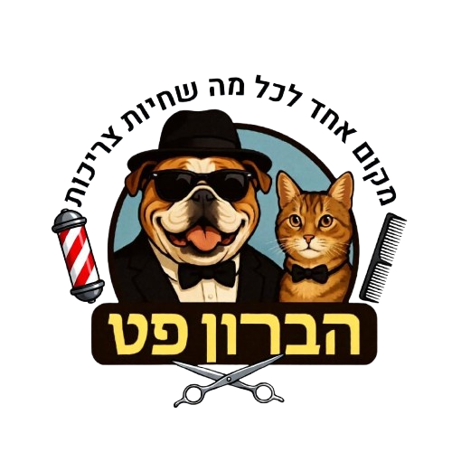 ישראל ישראלי